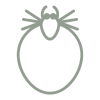 Lyme & Tickborne Diseases