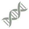 Methylation and genetic mutations