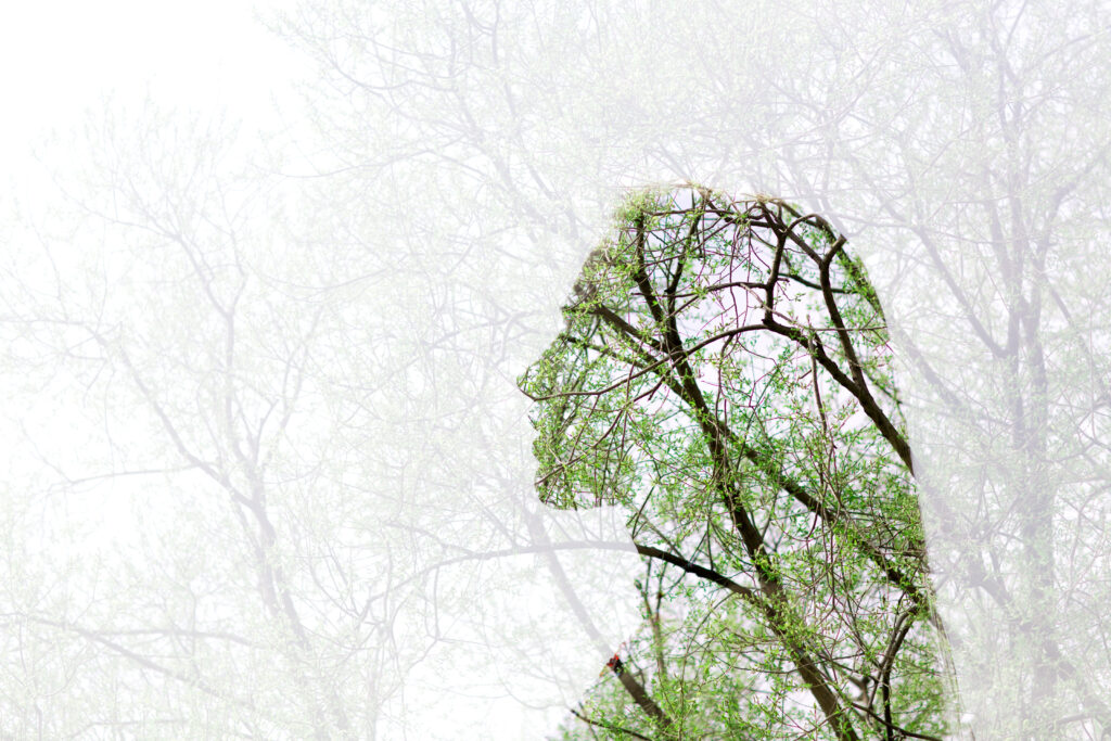 Silhouette of a young woman. Multiple exposure. Cerebral vessels and circulatory and nervous system head concept.