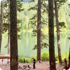 Chronic Infections & Complex Illness