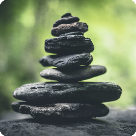 Naturopathic Primary Care Medicine